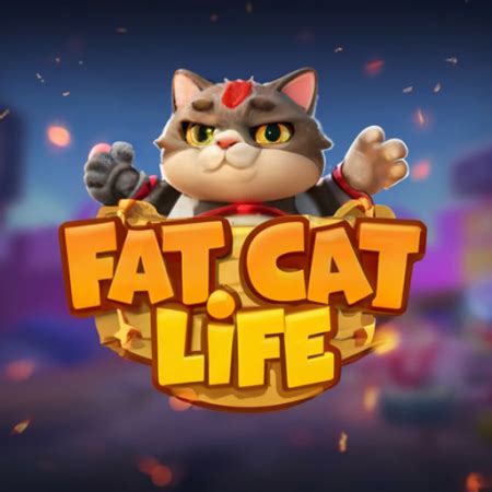 Fat Cat Life ️ Online Game .